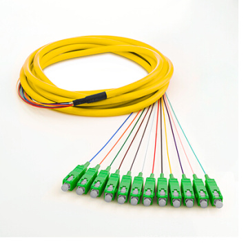 Single Mode 12 Fiber Pigtail Patch Cord